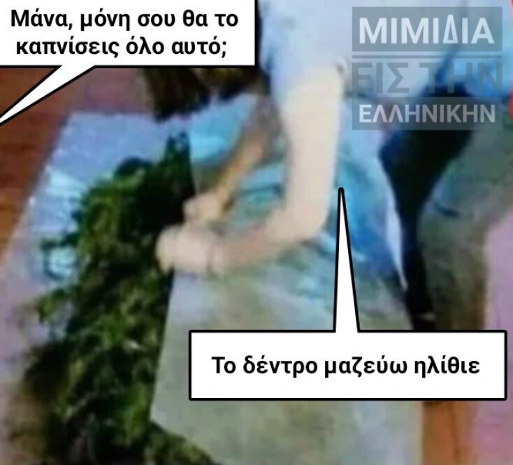 Αστεία memes, ατάκες, YOLO βίντεο, viral, αστεία video στο TikTok που ανέβηκαν στο διαδίκτυο και μας έκαναν να γελάσουμε.
