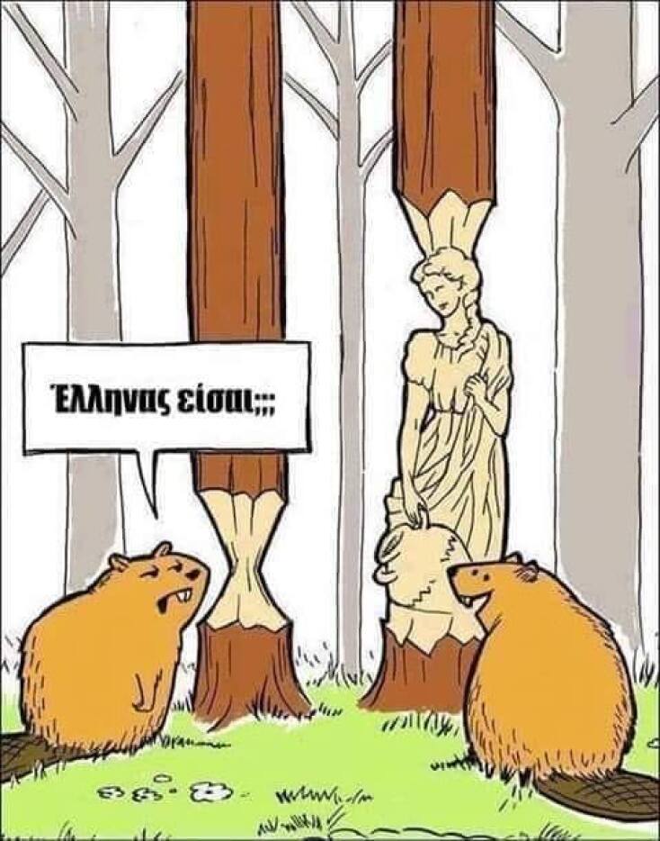 Αστεία memes, ατάκες, YOLO βίντεο, viral, αστεία video στο TikTok που ανέβηκαν στο διαδίκτυο και μας έκαναν να γελάσουμε.