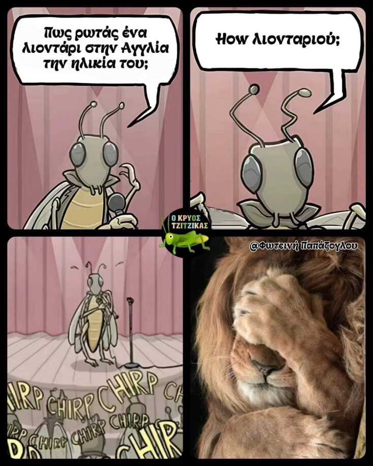 Αστεία memes, ατάκες, YOLO βίντεο, viral, αστεία video στο TikTok που ανέβηκαν στο διαδίκτυο και μας έκαναν να γελάσουμε.