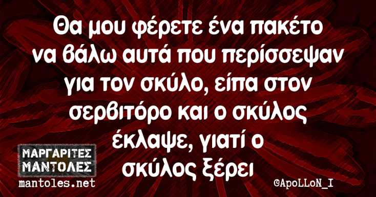 Αστεία memes, ατάκες, YOLO βίντεο, viral, αστεία video στο TikTok που ανέβηκαν στο διαδίκτυο και μας έκαναν να γελάσουμε.