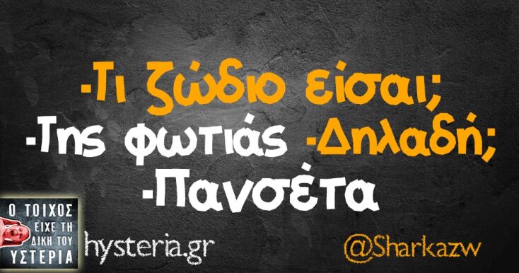 Αστεία memes, ατάκες, YOLO βίντεο, viral, αστεία video στο TikTok που ανέβηκαν στο διαδίκτυο και μας έκαναν να γελάσουμε.