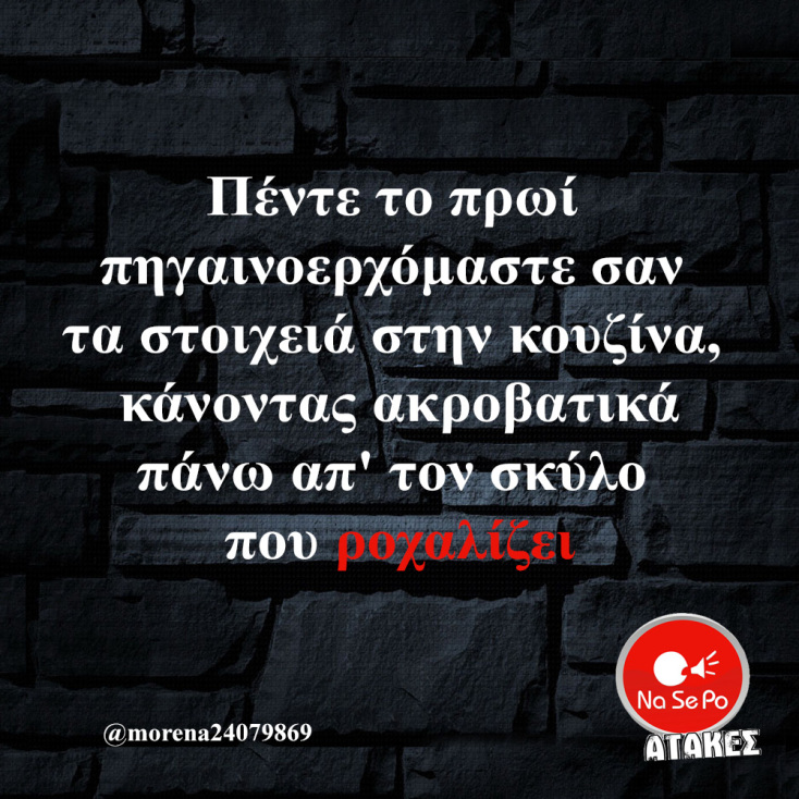 Αστεία memes, ατάκες, YOLO βίντεο, viral, αστεία video στο TikTok που ανέβηκαν στο διαδίκτυο και μας έκαναν να γελάσουμε.