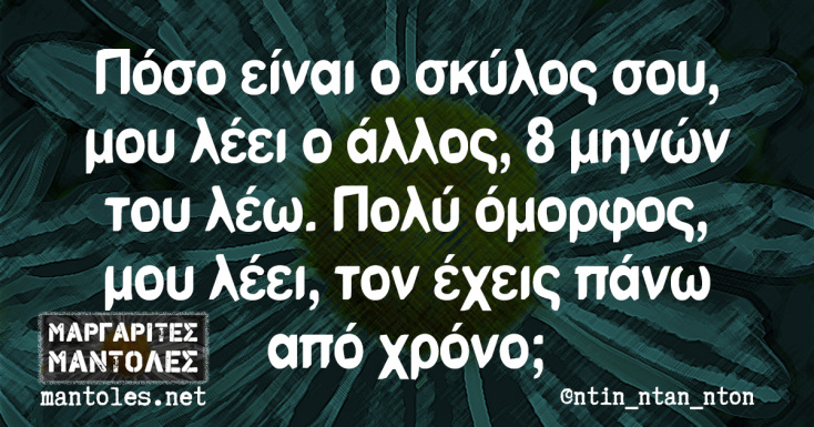 Τα YOLO της Πέμπτης 21-03-2024 