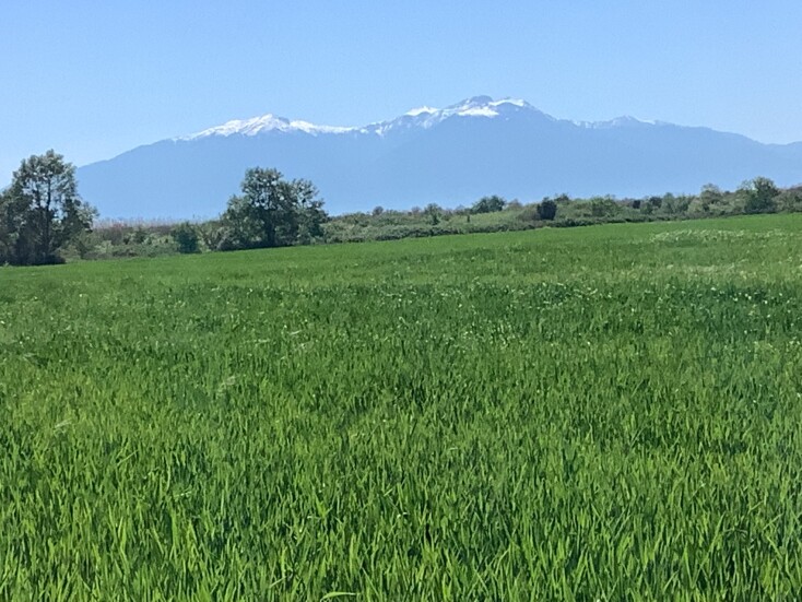 Αγκυροβόλι: Για φρέσκο ψάρι και ουζάρες στον Ποταμό της Επανομής 
