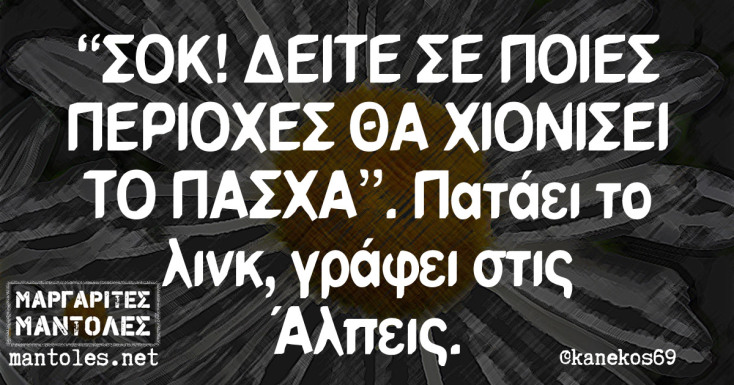 Αστεία memes, ατάκες, YOLO βίντεο, viral, αστεία video στο TikTok που ανέβηκαν στο διαδίκτυο και μας έκαναν να γελάσουμε.