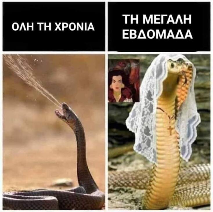 Αστεία memes, ατάκες, YOLO βίντεο, viral, αστεία video στο TikTok που ανέβηκαν στο διαδίκτυο και μας έκαναν να γελάσουμε.