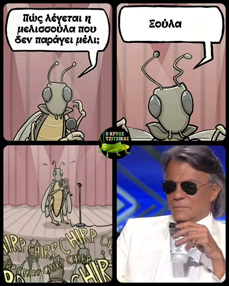 Αστεία memes, ατάκες, YOLO βίντεο, viral, αστεία video στο TikTok που ανέβηκαν στο διαδίκτυο και μας έκαναν να γελάσουμε.