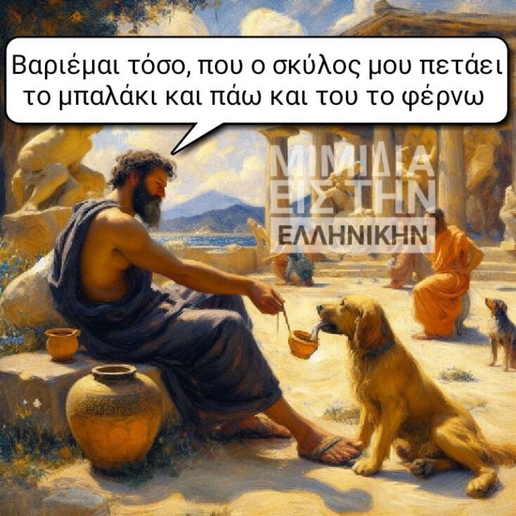 Αστεία memes, ατάκες, YOLO βίντεο, viral, αστεία video στο TikTok που ανέβηκαν στο διαδίκτυο και μας έκαναν να γελάσουμε.