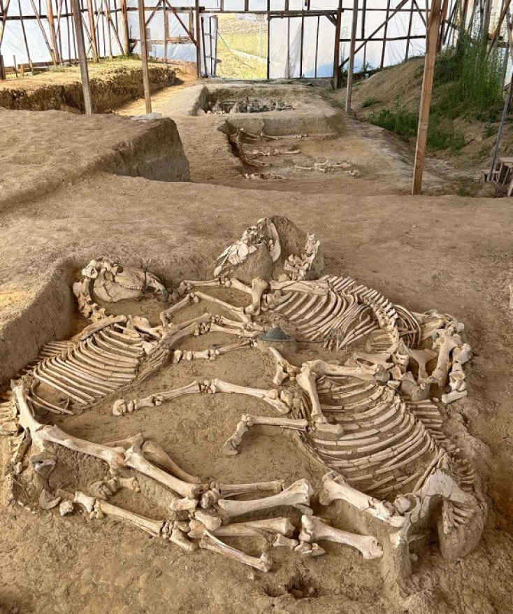 Ταφικός Τύμβος Μικρής Δοξιπάρας-Ζώνης 