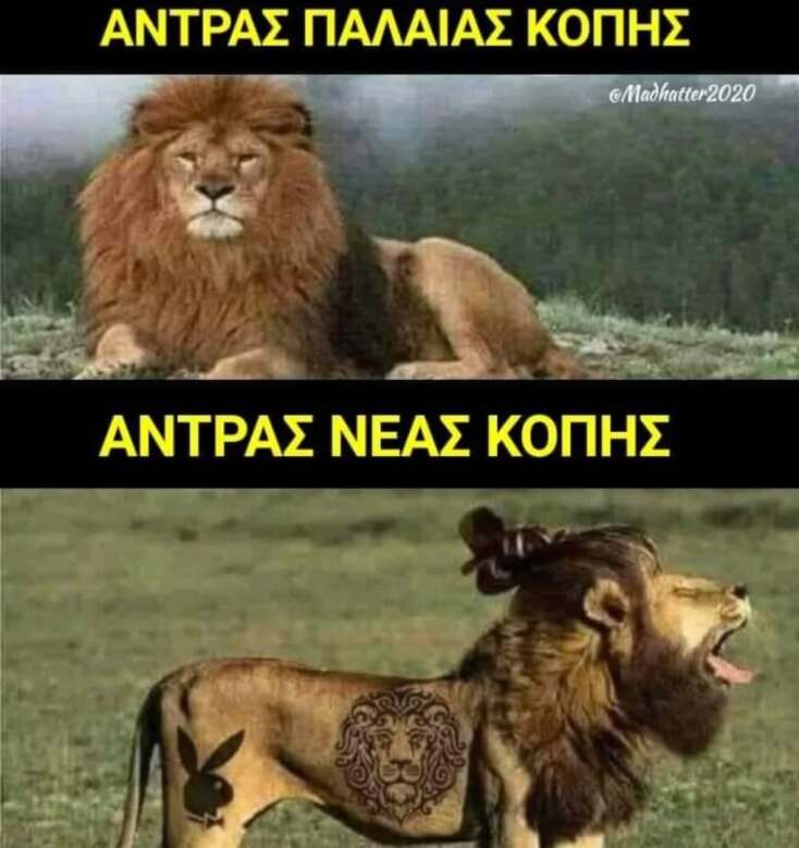 Αστεία memes, ατάκες, YOLO βίντεο, viral, αστεία video στο TikTok που ανέβηκαν στο διαδίκτυο και μας έκαναν να γελάσουμε.