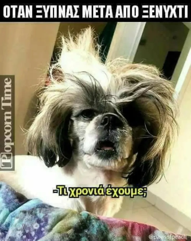 Αστεία memes, ατάκες, YOLO βίντεο, viral, αστεία video στο TikTok που ανέβηκαν στο διαδίκτυο και μας έκαναν να γελάσουμε.