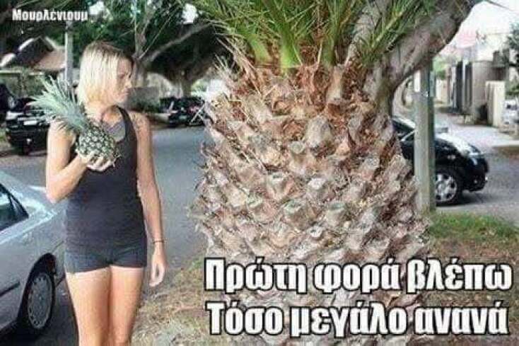 Αστεία memes, ατάκες, YOLO βίντεο, viral, αστεία video στο TikTok που ανέβηκαν στο διαδίκτυο και μας έκαναν να γελάσουμε.