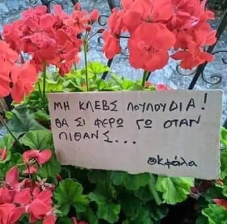 Αστεία memes, ατάκες, YOLO βίντεο, viral, αστεία video στο TikTok που ανέβηκαν στο διαδίκτυο και μας έκαναν να γελάσουμε.
