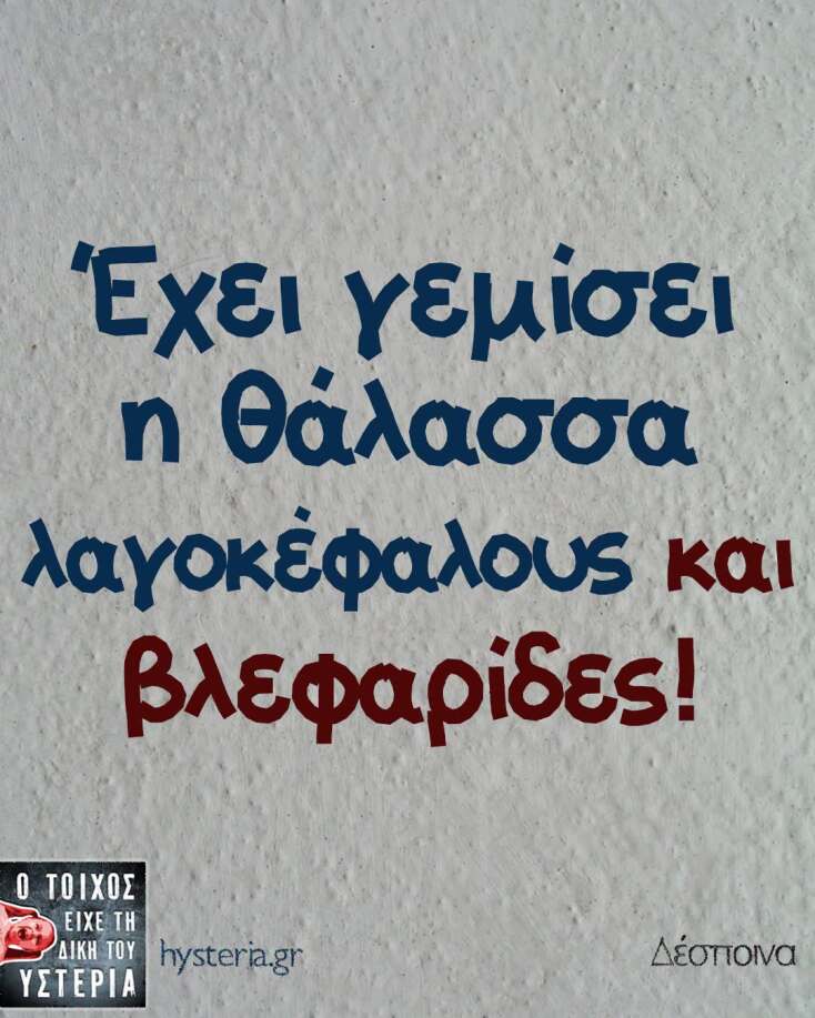 Αστεία memes, ατάκες, YOLO βίντεο, viral, αστεία video στο TikTok που ανέβηκαν στο διαδίκτυο και μας έκαναν να γελάσουμε.