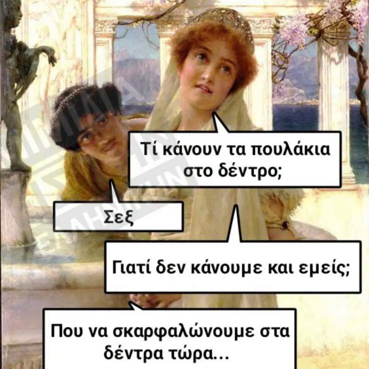 Αστεία memes, ατάκες, YOLO βίντεο, viral, αστεία video στο TikTok που ανέβηκαν στο διαδίκτυο και μας έκαναν να γελάσουμε.