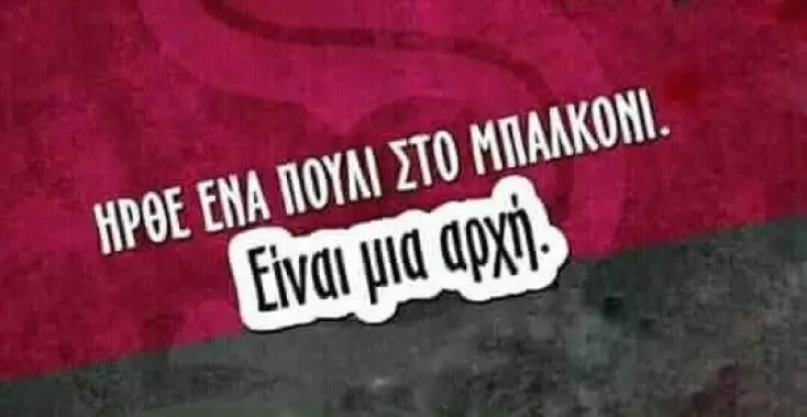 Αστεία memes, ατάκες, YOLO βίντεο, viral, αστεία video στο TikTok που ανέβηκαν στο διαδίκτυο και μας έκαναν να γελάσουμε.