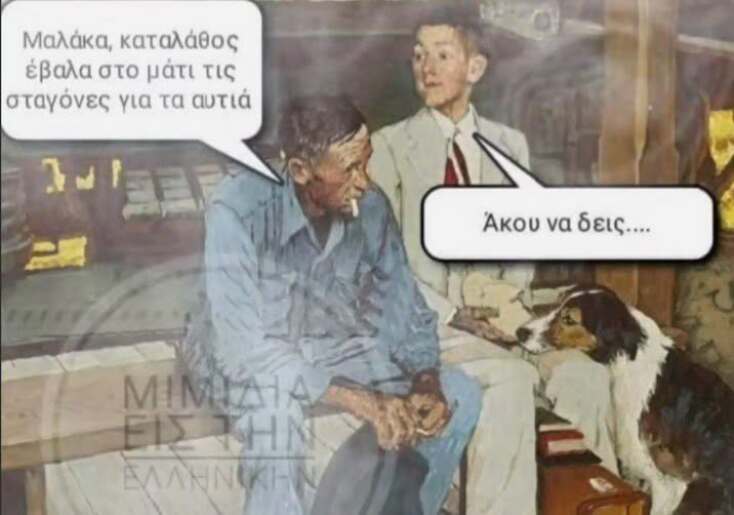Αστεία memes, ατάκες, YOLO βίντεο, viral, αστεία video στο TikTok που ανέβηκαν στο διαδίκτυο και μας έκαναν να γελάσουμε.