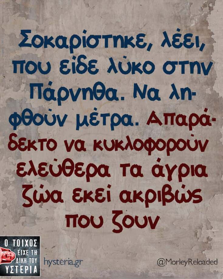 Αστεία memes, ατάκες, YOLO βίντεο, viral, αστεία video στο TikTok που ανέβηκαν στο διαδίκτυο και μας έκαναν να γελάσουμε.