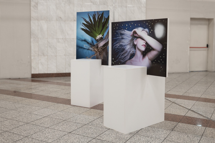 The Artpit Collection - Αιμιλία Μπαλάσκα