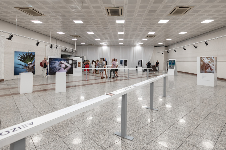 The Artpit Collection1