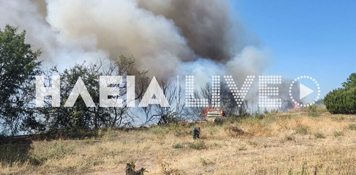 Φωτιά τώρα στην Ηλεία