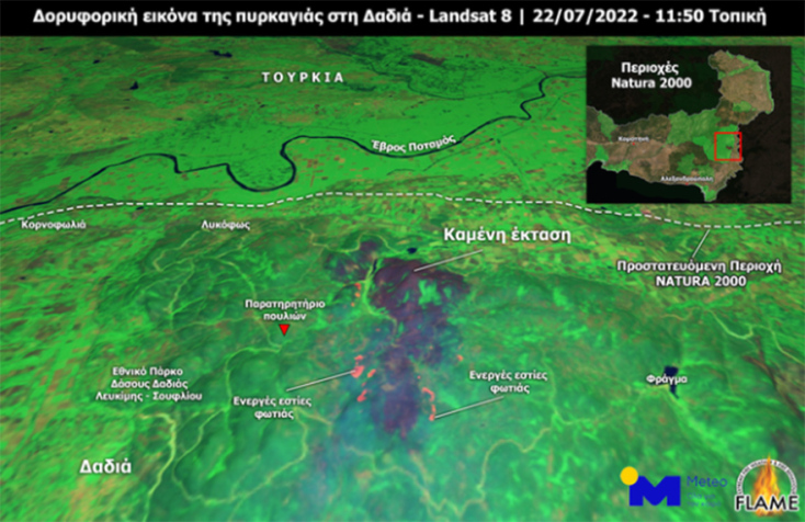 Δορυφορική εικόνα με τις ενεργές εστίες κατά τη χρονική στιγμή του περάσματος του δορυφόρου, ενώ σημειώνονται επίσης η θέση του Εθνικού Πάρκου Δαδιάς - Λευκίμης - Σουφλίου και τα όρια της προστατευόμενης περιοχής Natura 2000