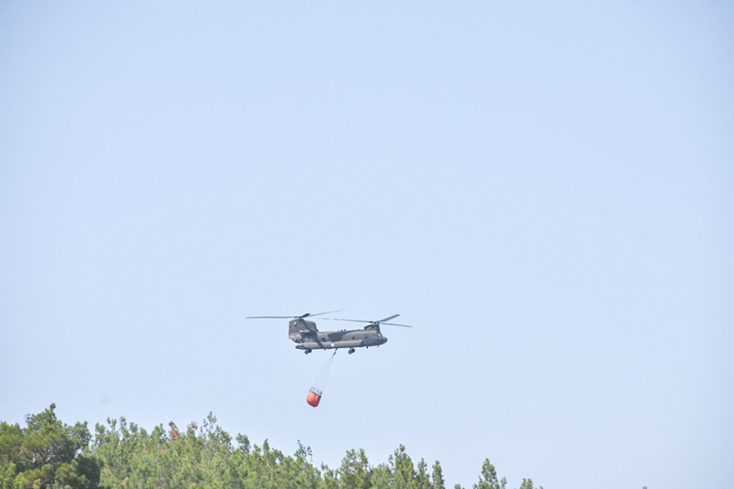 Εκτός ελέγχου η φωτιά στη Δαδιά Έβρου