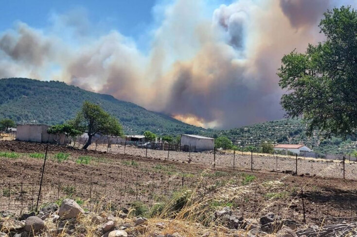 Η φωτιά στα Βατερά Λέσβου καίει πευκοδάσος