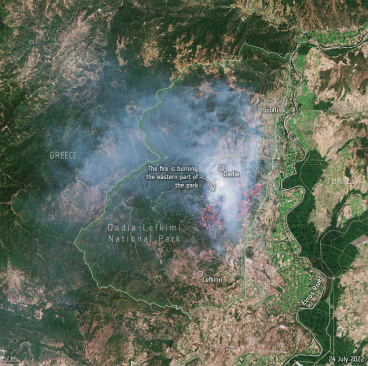 Δορυφορική εικόνα για την έκταση της φωτιάς στο δάσος της Δαδιάς