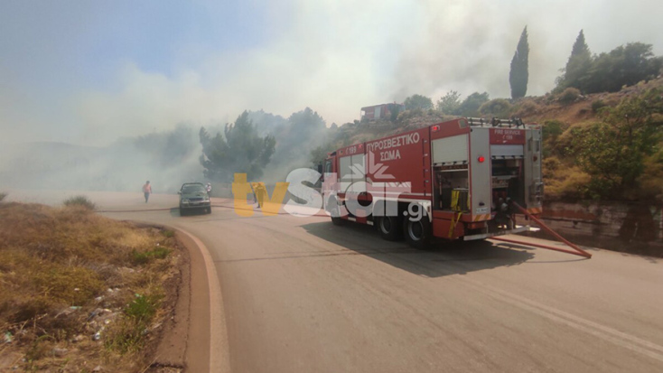 Μάχη με τις φλόγες 1 χιλιόμετρο από το Δίστομο