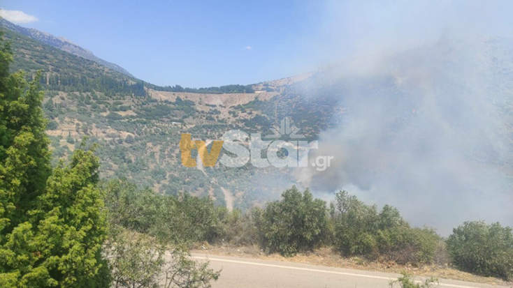 Μάχη με τις φλόγες 1 χιλιόμετρο από το Δίστομο