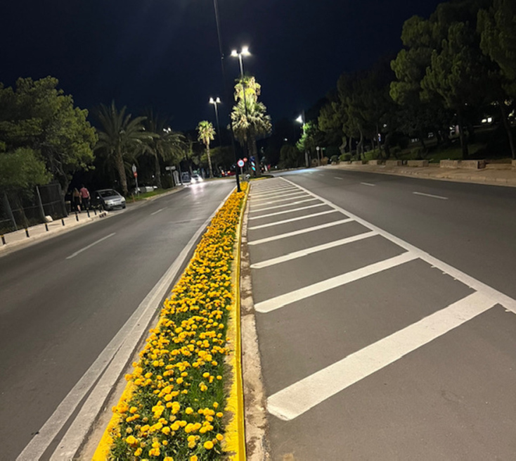 Η Λεωφόρος Συγγρού αλλάζει πρόσωπο: Φυτεύτηκαν 300 φοίνικες