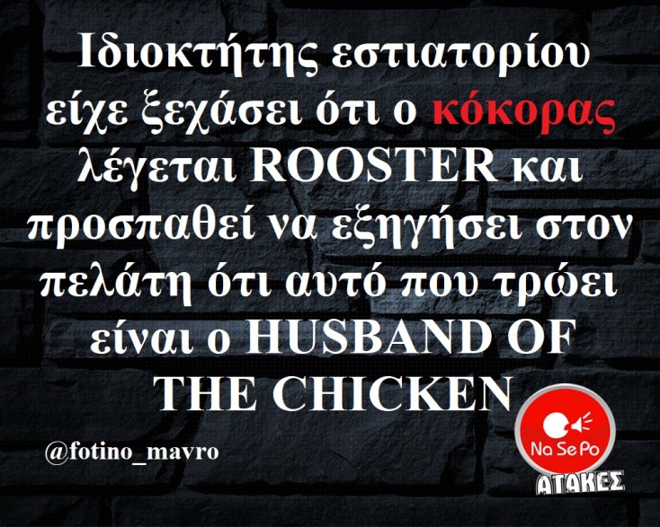 Αστεία memes, ατάκες, YOLO βίντεο, viral, αστεία video στο TikTok που ανέβηκαν στο διαδίκτυο και μας έκαναν να γελάσουμε.