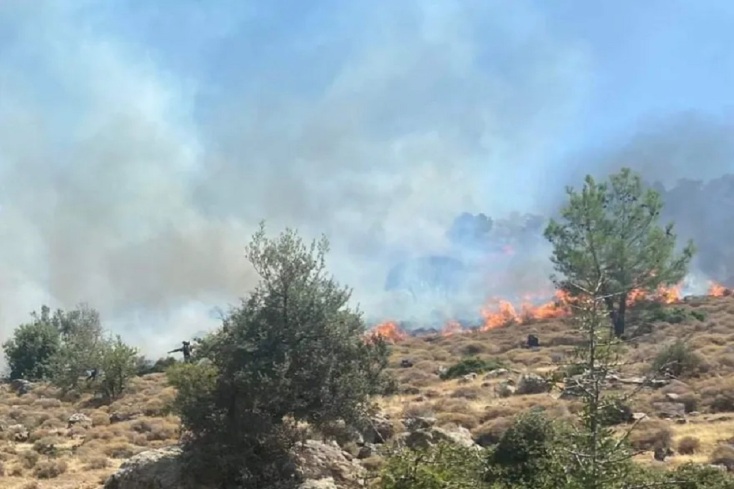 Μυτιλήνη: Φωτιά στην περιοχή Πετσοφά Καλλονής	