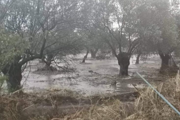 Πλημμυρισμένα χωράφια στον Μανταμάδο Λέσβου