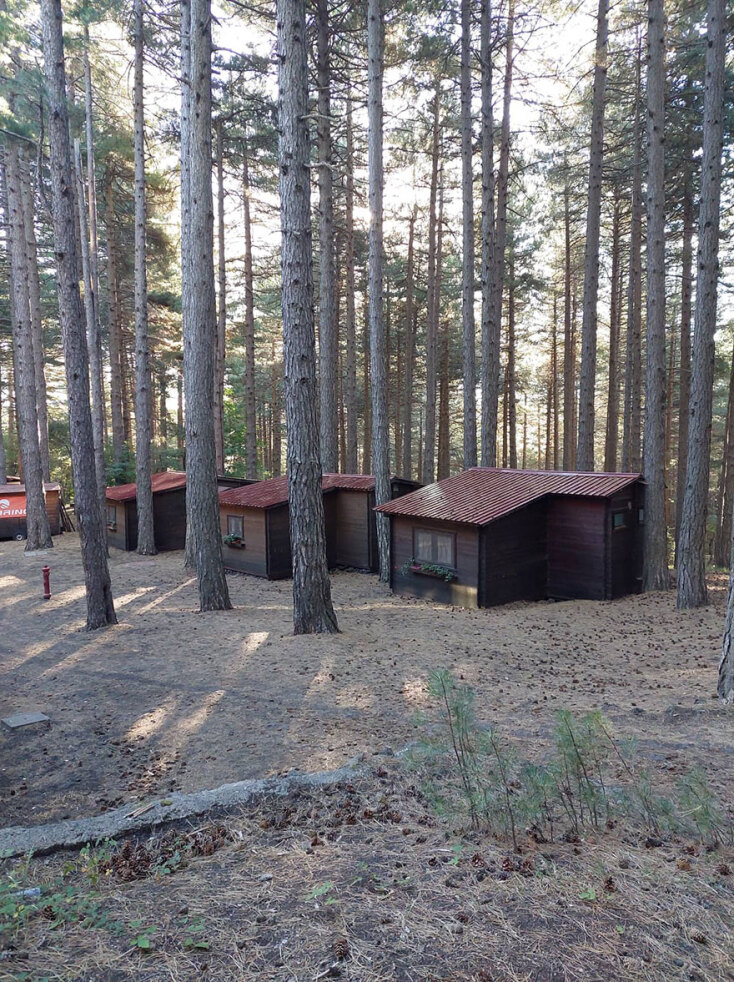 Ξύλινες καλύβες σε δάσος