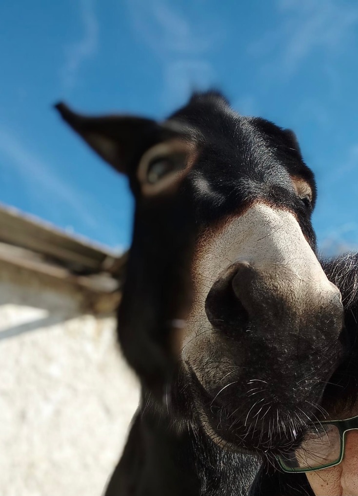 Η Λευκή βγάζει σέλφι με τη Βίκυ
