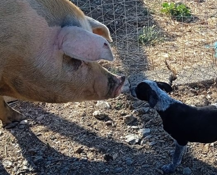Η Μέριλιν γνωρίζεται με τον μικρό Χόρχε, το νέο μέλος της οικογένειας που μάζεψαν οι Μαργαρίτα και η Βίκυ από τον δρόμο