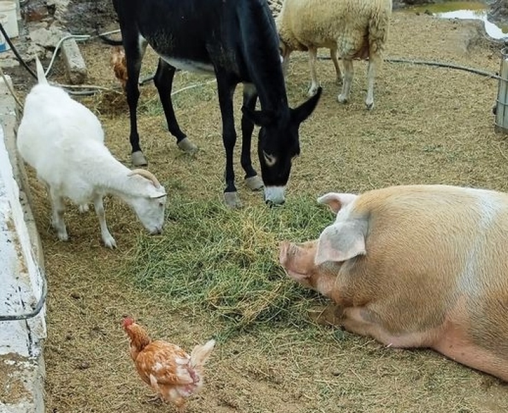 Η Τζέιν,  η Λευκή, η Μπέβερλι η Μέρυλιν σε ώρα φαγητού