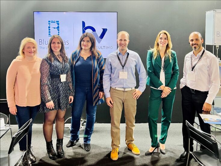 Η ομάδα των BV Consulting & BlueVillas