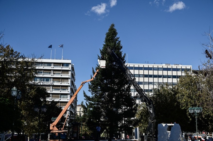 Χριστουγεννιάτικο δέντρο 
