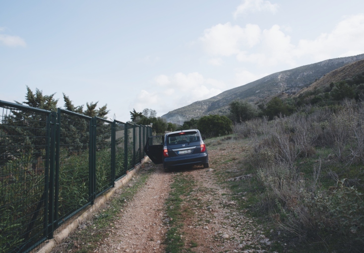 Φεύγοντας από το ΚΑΖ συζητάμε το τεράστιο πρόβλημα των αδέσποτων ζώων στην Ελλάδα