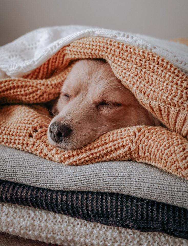 7 συμβουλές που θα παρατείνουν τη ζωή των αγαπημένων σου πλεκτών