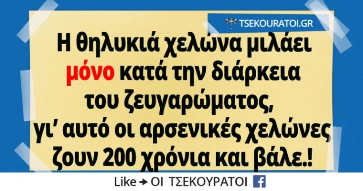 Αστεία memes, ατάκες, YOLO βίντεο, viral, αστεία video στο TikTok που ανέβηκαν στο διαδίκτυο και μας έκαναν να γελάσουμε.