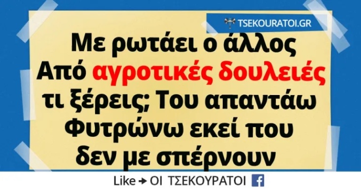 Αστεία memes, ατάκες, YOLO βίντεο, viral, αστεία video στο TikTok που ανέβηκαν στο διαδίκτυο και μας έκαναν να γελάσουμε.
