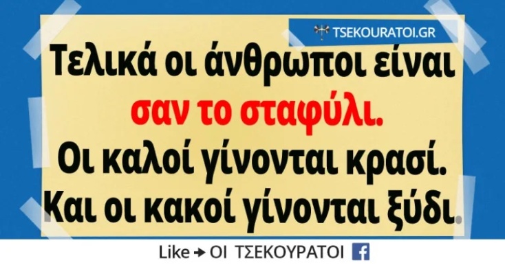 Αστεία memes, ατάκες, YOLO βίντεο, viral, αστεία video στο TikTok που ανέβηκαν στο διαδίκτυο και μας έκαναν να γελάσουμε.