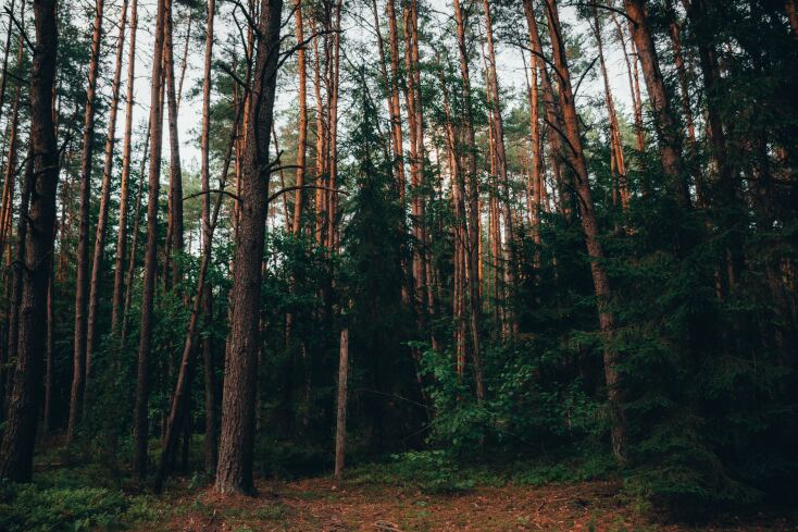Περιβάλλον