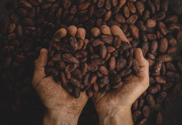 Παγκόσμια ημέρα σοκολάτας: Το «γλυκό» αφιέρωμα της Finos Film