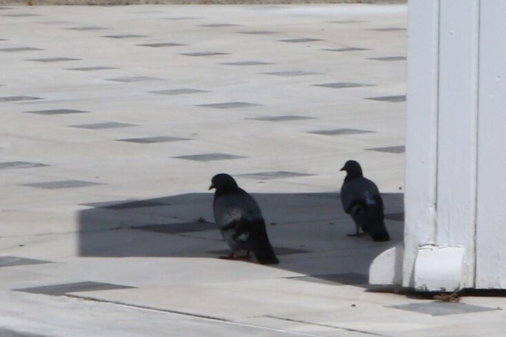 Σε επίπεδο επικινδυνότητας 3 ο καύσωνας «Κλέων» σήμερα στην Αθήνα 