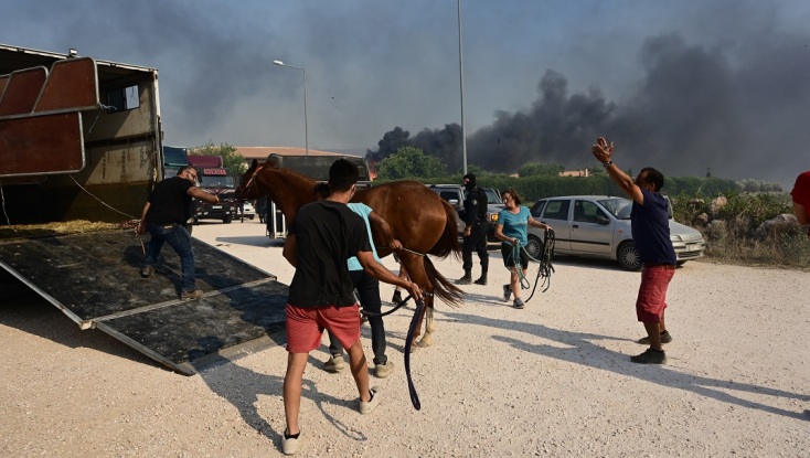 Φωτιά στον Κουβαρά: Επιχείρηση διάσωσης εγκλωβισμένων αλόγων
